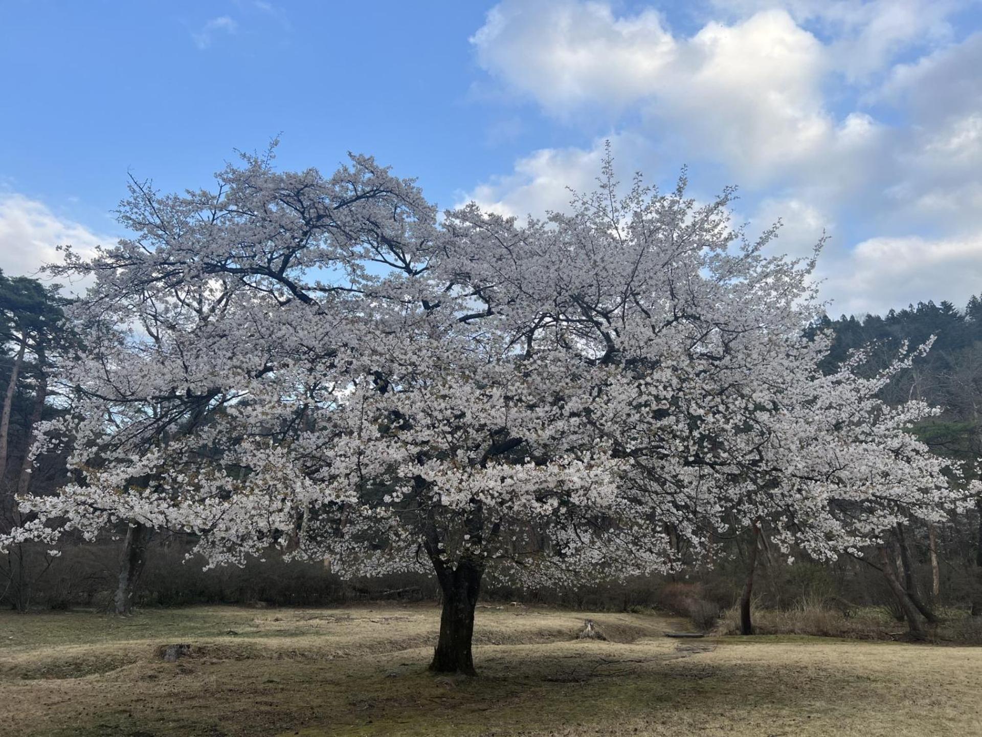 Kinugawa Keisui Hotel นิกโก ภายนอก รูปภาพ